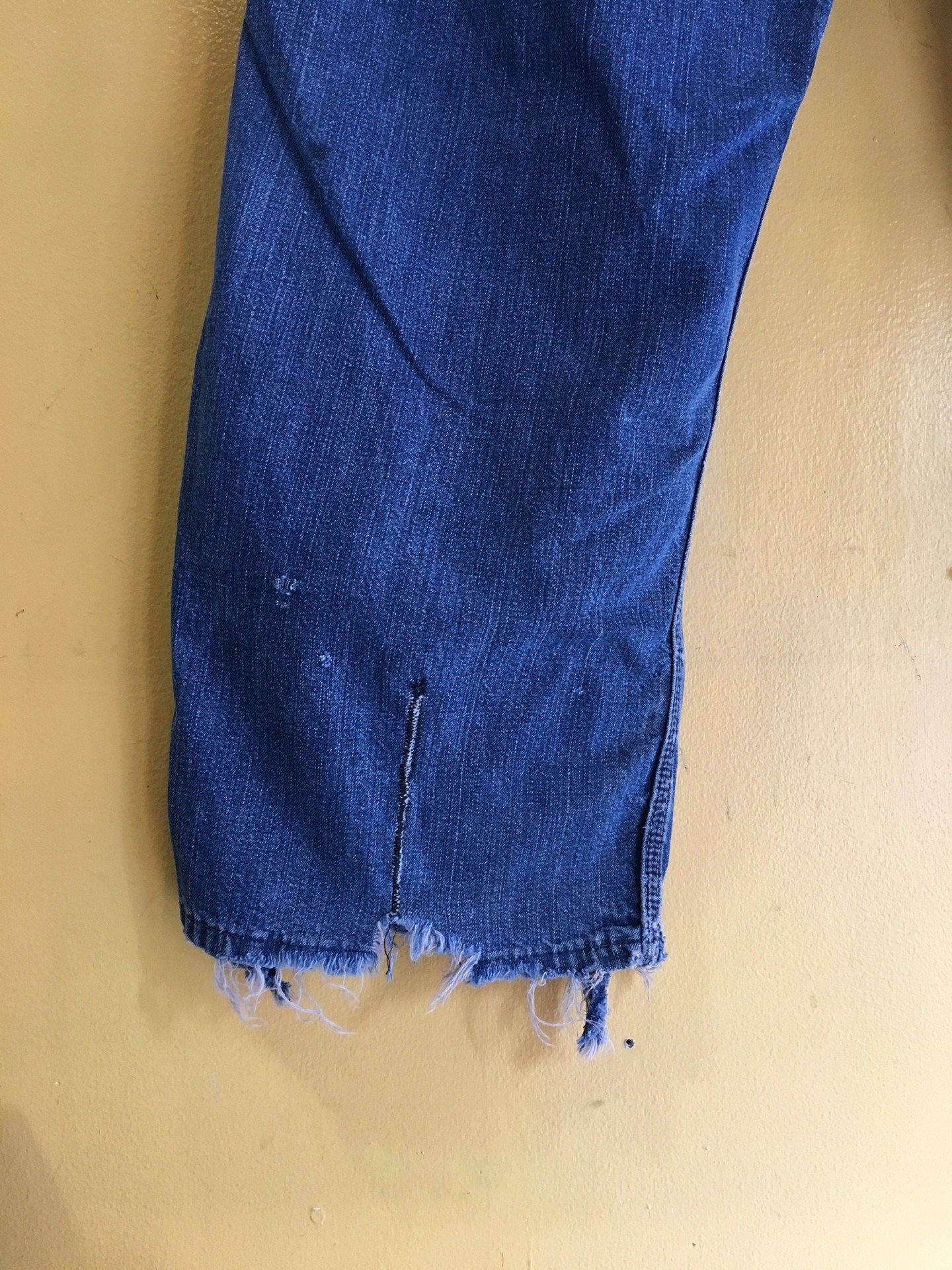 image1.jpeg