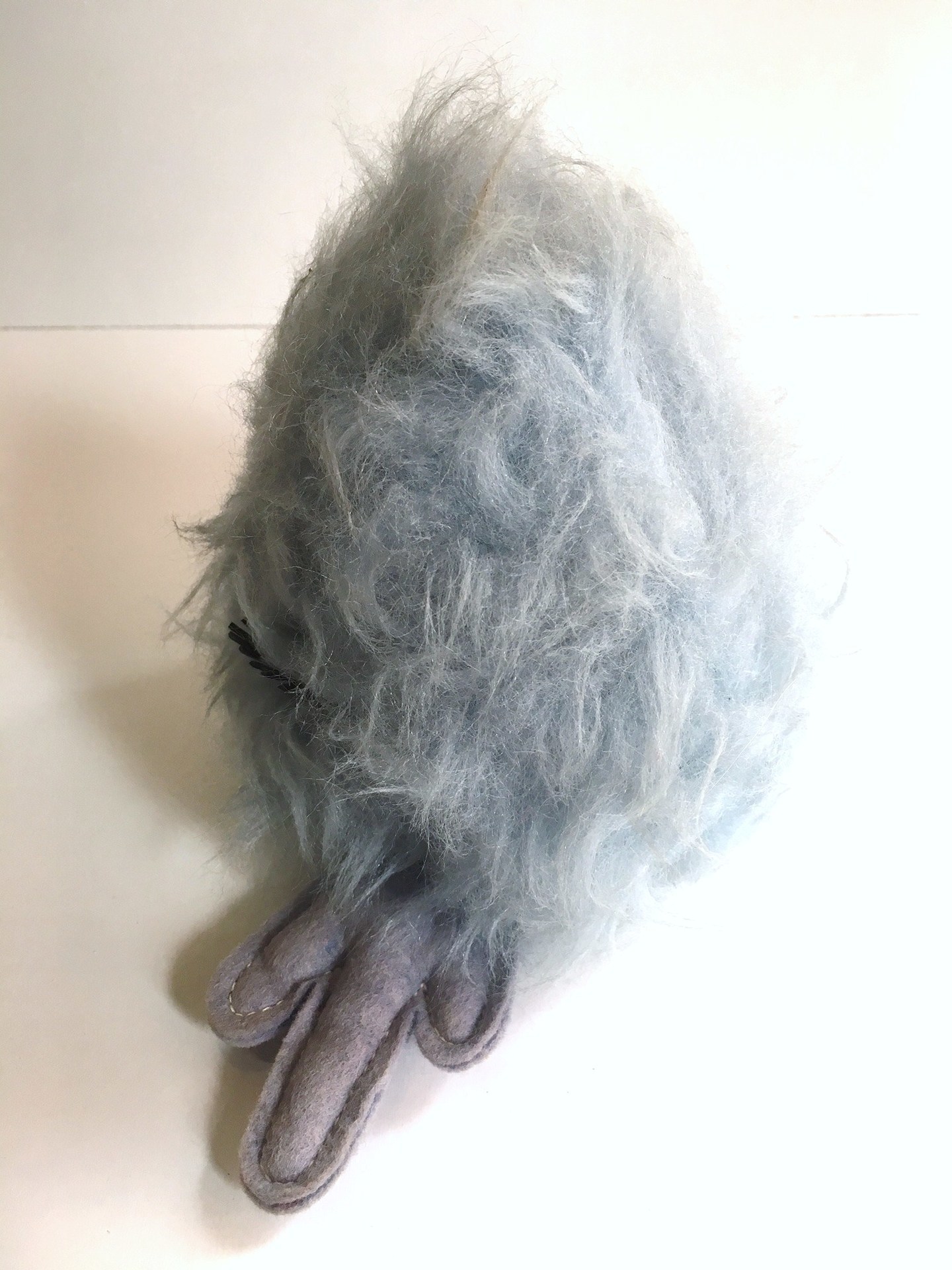 image5.jpeg