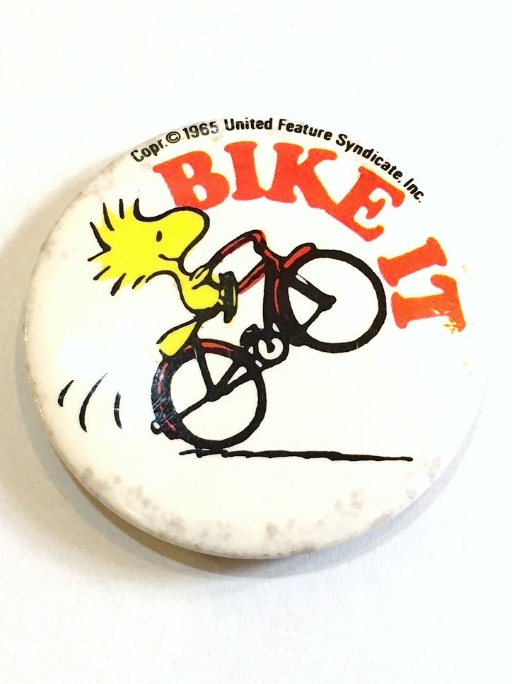 image1.jpeg