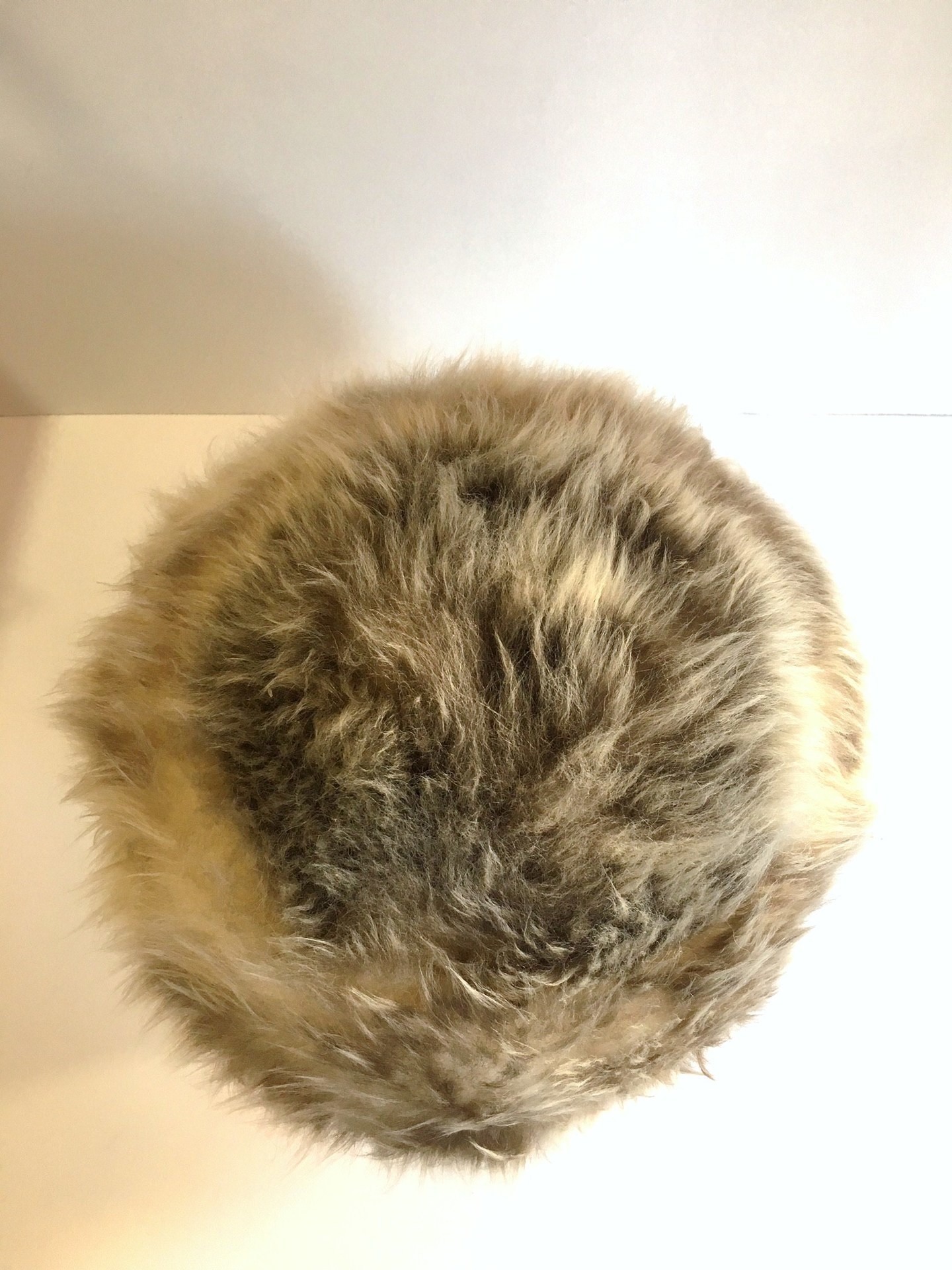 image3.jpeg