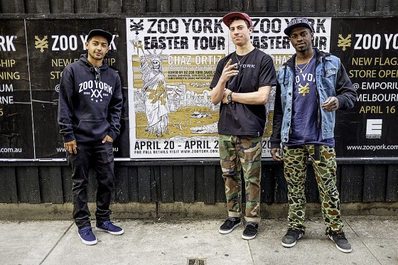 zoo york chaz.jpg